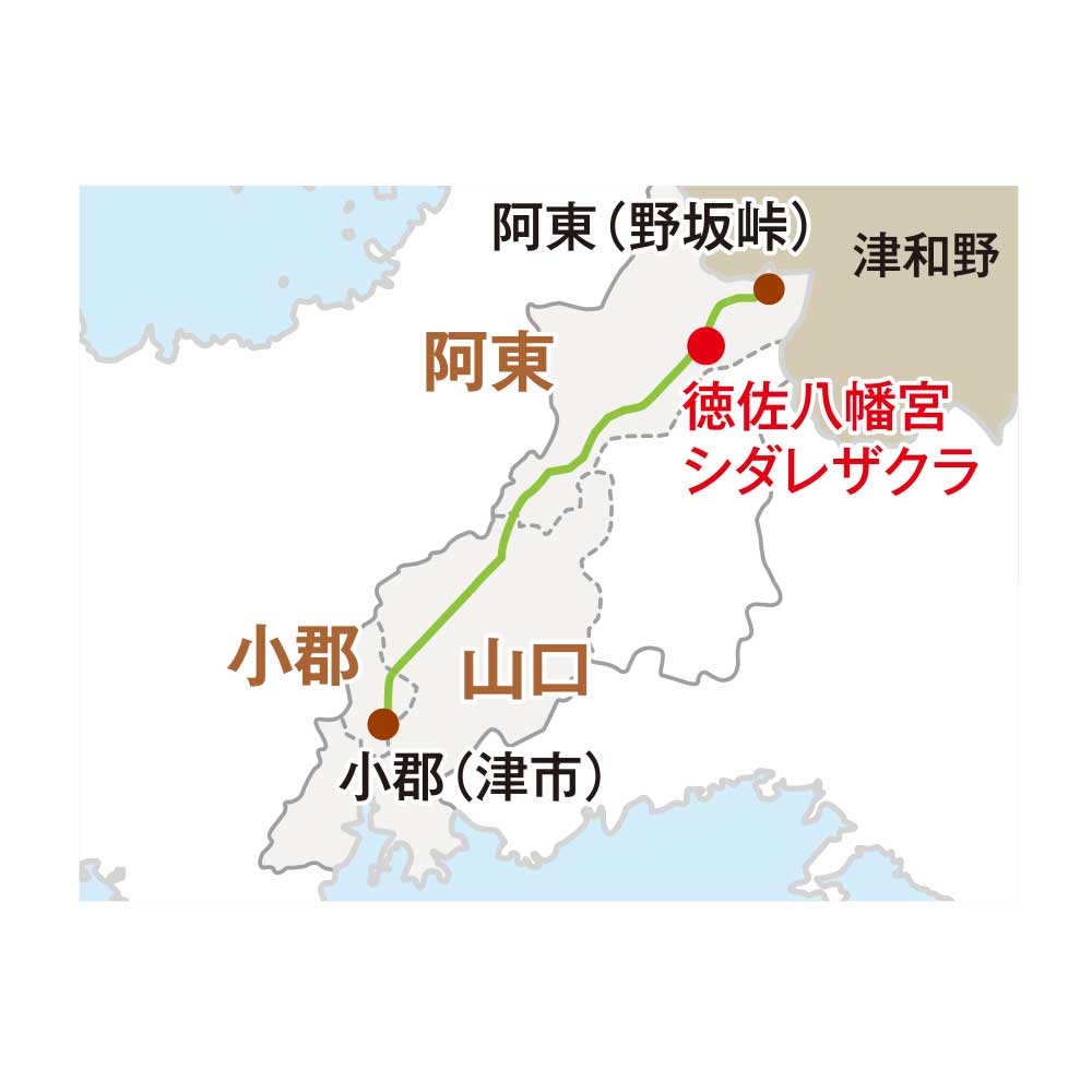 徳佐八幡宮シダレザクラmap