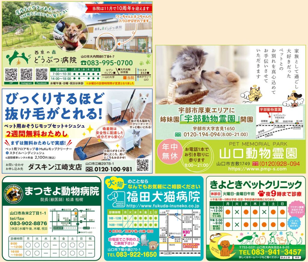 2025動物愛護週間特集