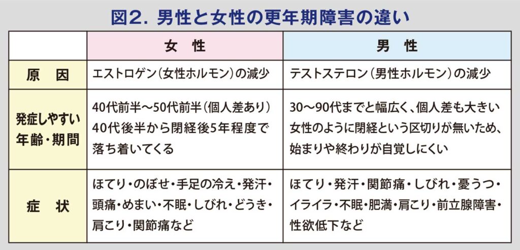 202601　図2. 男性と女性の更年期障害の違い